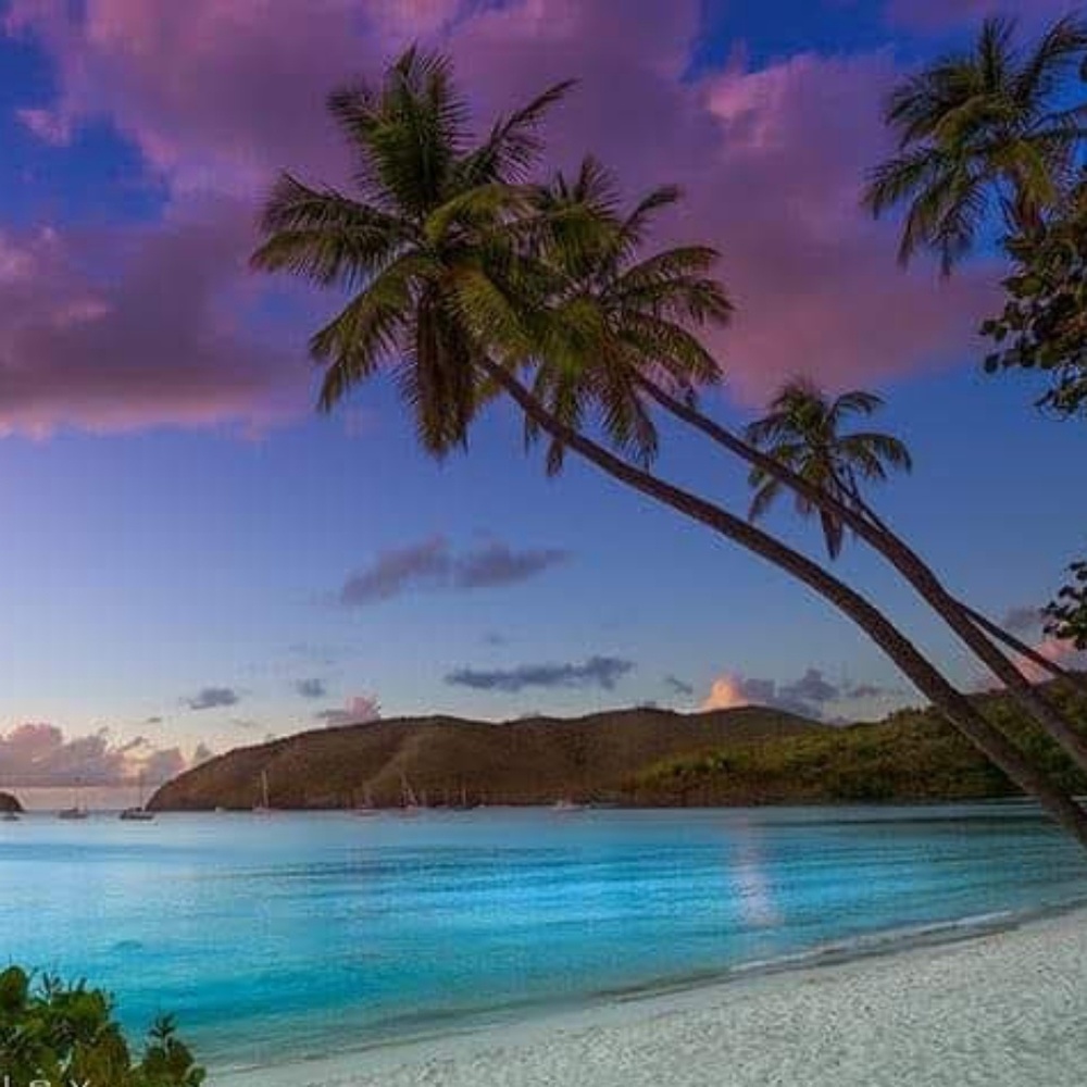 Meet your Posher, Aubrey